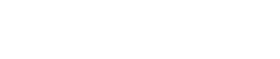 Dataroid Logo